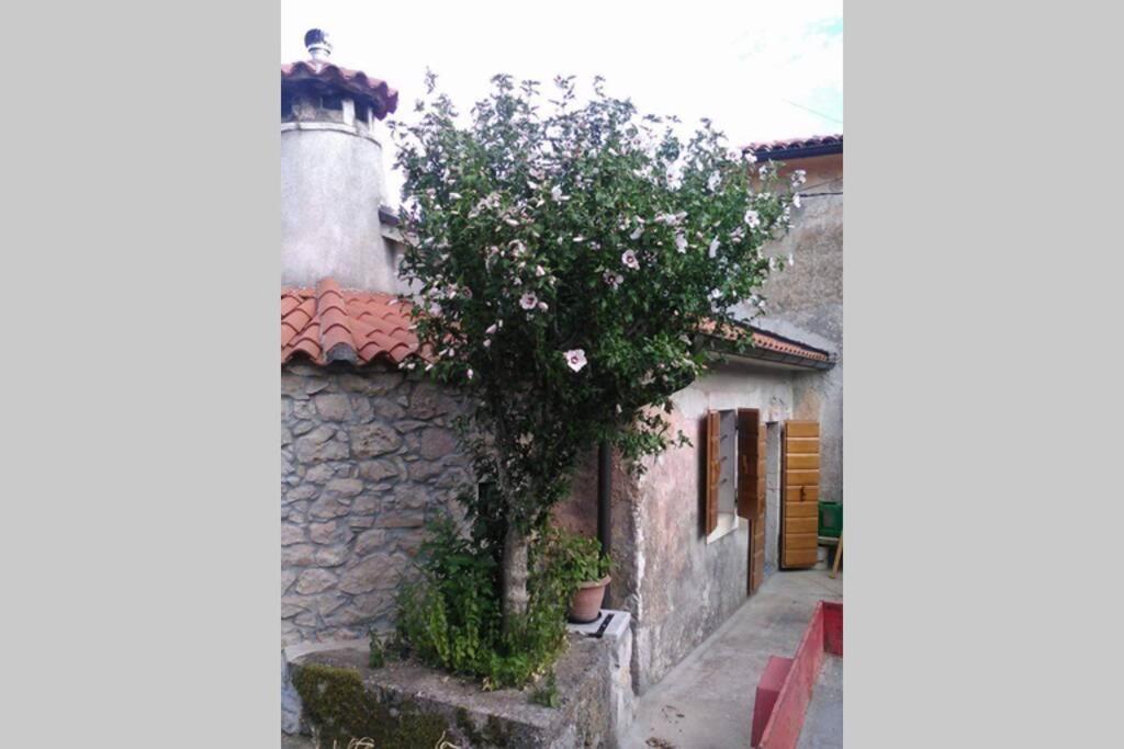 Vacation Home Marinici Mošćenička Draga Dış mekan fotoğraf