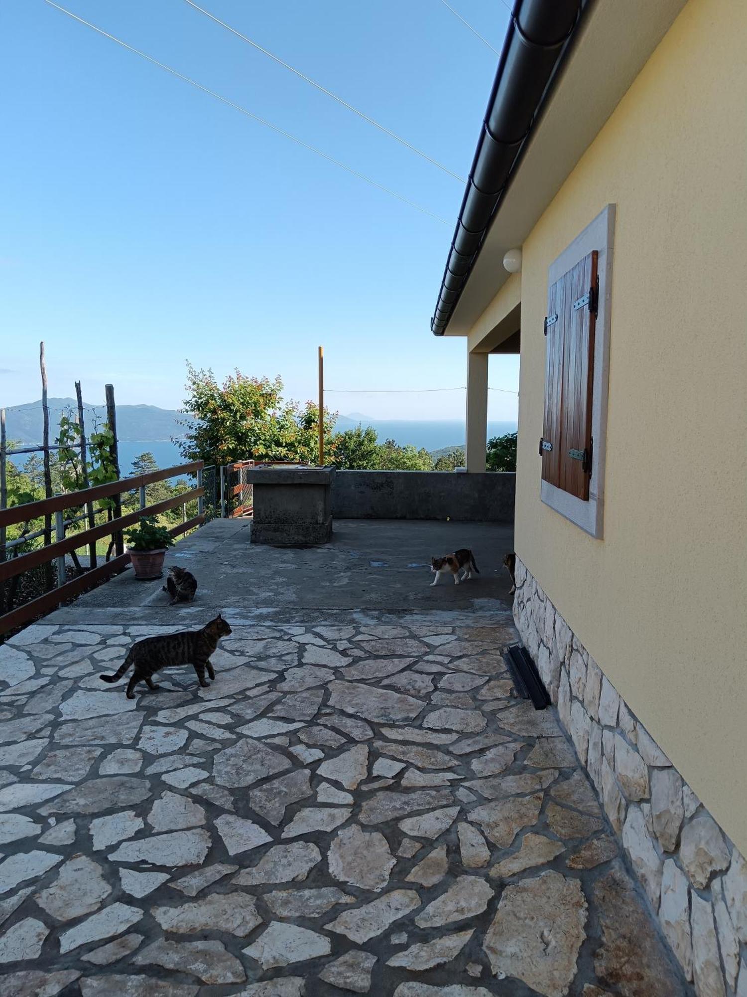 Vacation Home Marinici Mošćenička Draga Dış mekan fotoğraf